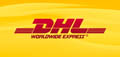 DHL a Torino
